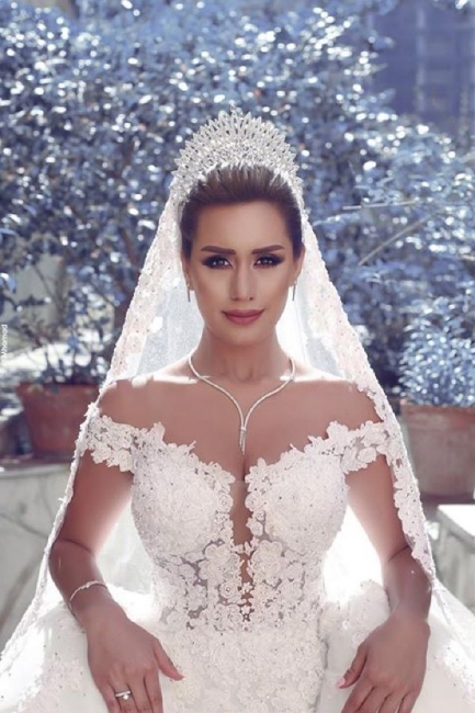 V-neck Off Shoulder Wedding Dresses Lace Ball Gown Bridal Gowns BA3538
