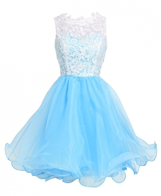 Elegant A-Line Short Lace Organza Summer Homecoming Dress