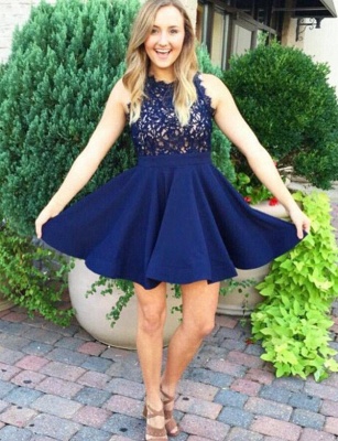 Elegant Lace Flattering A-line Sleeveless Jewel Short Prom Homecoming Dress_1