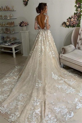 Fashion Lace Appliques V-Neck Wedding Dresses | Sheer Long Sleeves Backless Floral Bridal Gowns_2