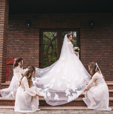 Glamorous Sleeveless V-Neck Lace Appliques Wedding Dresses | Bridal Gowns Online_2