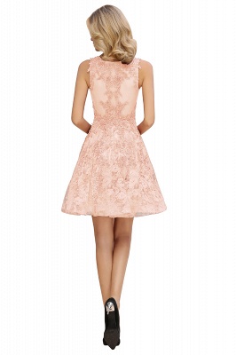 Simple V-Neck Straps Lace A-Line Short Prom Dress Appliques Sleeveless Knee Length Party Dresses Online_16