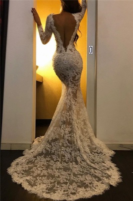 Stunning V-Neck Lace Mermaid Prom Dress Sexy Long Sleeves Appliques Evening Dresses On Sale_2