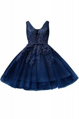 Sliver Grey  V-neck Mini Homecoming Dresses  Lace Appliques Tulle Party Dress_7