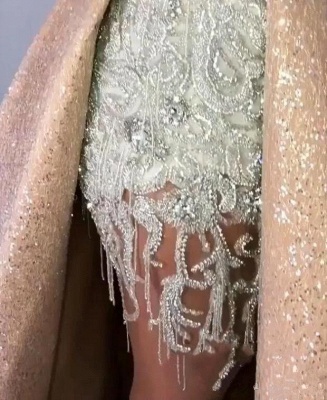 Gorgeous Jewel Sleeveless Applique Beading Prom Dresses Sequined A-Line Evening Dresses_4