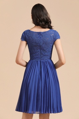 Stylish Floral lace Appliques Mini Dress Royal Blue Short Sleeves Knee Length Daily Casual Dress_3