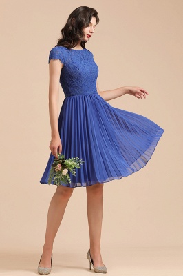 Stylish Floral lace Appliques Mini Dress Royal Blue Short Sleeves Knee Length Daily Casual Dress_7