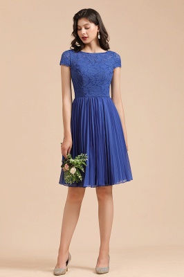 Stylish Floral lace Appliques Mini Dress Royal Blue Short Sleeves Knee Length Daily Casual Dress_4