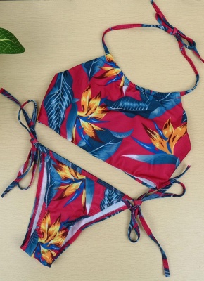 Floral Print Halter Wireless Padded Two Piece Bikini Set Swimwear_6