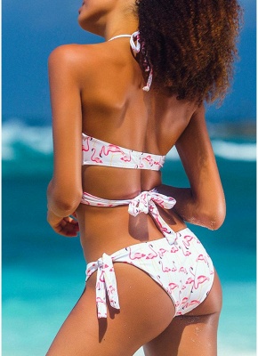 Womens Bathing Suit Halter Bandage Sexy Open Back Padded Wireless Swimsuit Beach Wear Bikini Set_3
