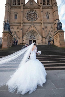 Elegant Lace Tulle Cathedral Wedding Dresses V-neck Mermaid Open Back Bridal Gowns BA3273_3