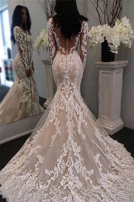 Illusion Long Sleeve Bride Dress Mermaid Lace Gorgeous Retro Sheer Tulle  Wedding Dress BA6189_2