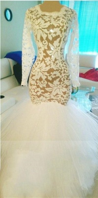 Sexy Mermaid Long Sleeves Prom Dresses Lace Open Back Evening Dresses BA7972_1