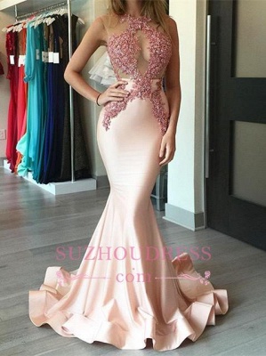 Gorgeous Pink Prom Dresses  Mermaid Appliques Sleeveless Evening Dress BA4068_1