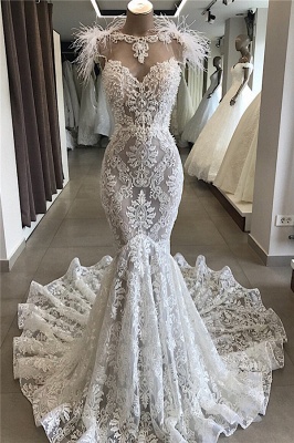 Tempting Open Back Wedding Dresses with Feather Fit and Flare Lace Crystals Necklace Bridal Gowns Online_3