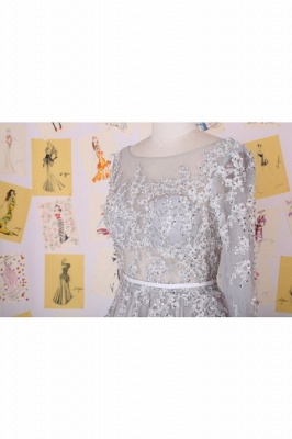 Chiffon Long Sleeve A-Line  Prom Dress Open Back Lace Applique Party Dresses_4