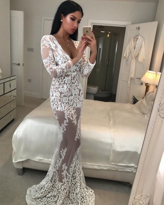 Deep V-neck Sexy Lace Formal Dress  | Long Sleeve See Through Evening Gown_3