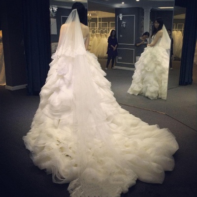 Elegant Sweetheart Ruffles Wedding Dress with Beadings Latest Court Train  Bridal Gown_3