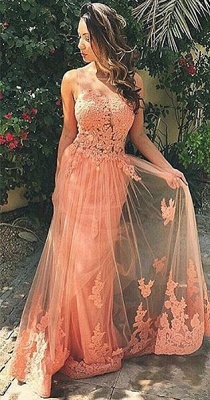 Coral Lace Tulle  Prom Dresses Open Back Sleeveless Sheath Evening Gown BA6820_1