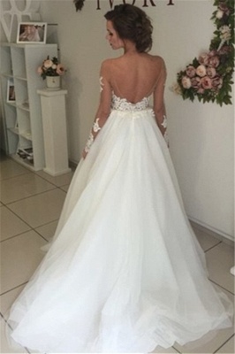 Sheer Long Sleeve Lace Wedding Dresses  Open Back Tulle Ball Gown Bridal Dress_3