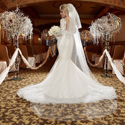 Scoop Long Sleeve Lace Wedding Dress Online Mermaid Backless  Bridal Gowns WE0035_3